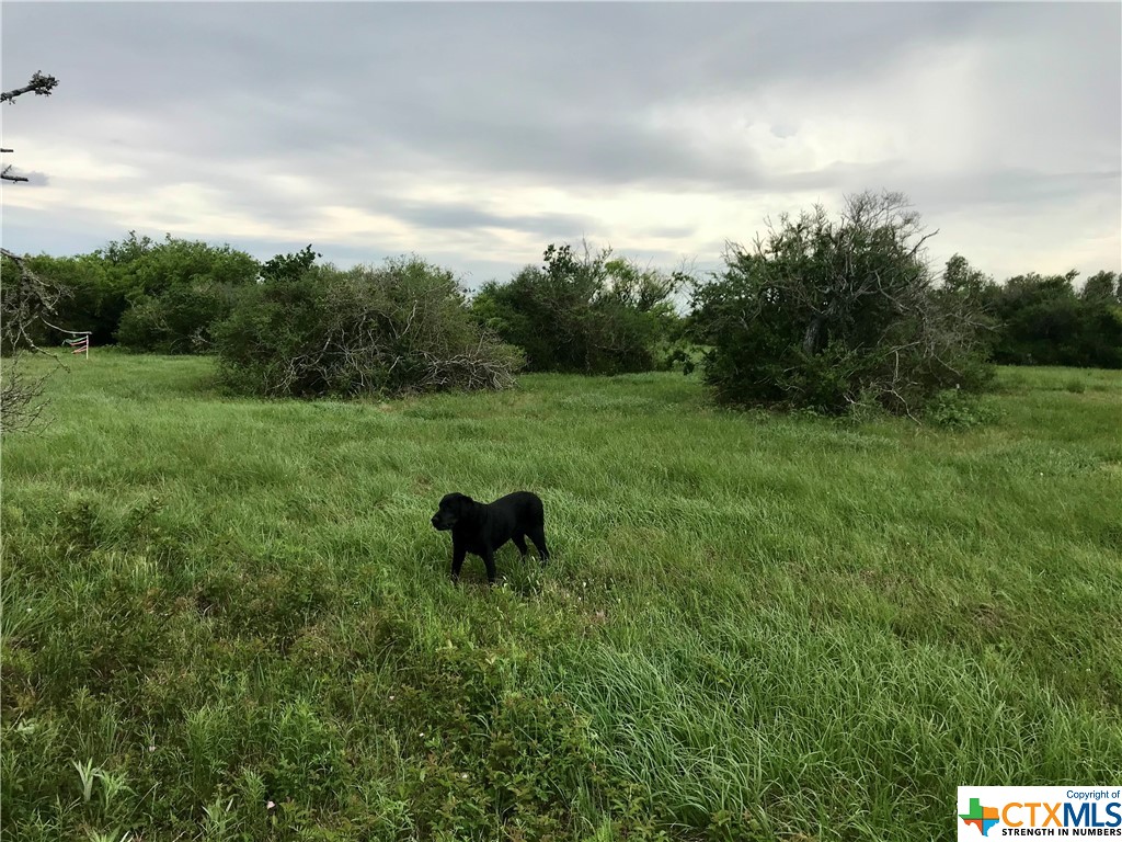 0 Fivemile Trail , Palacios, TX, 77465 | 437296 | Realty Texas LLC