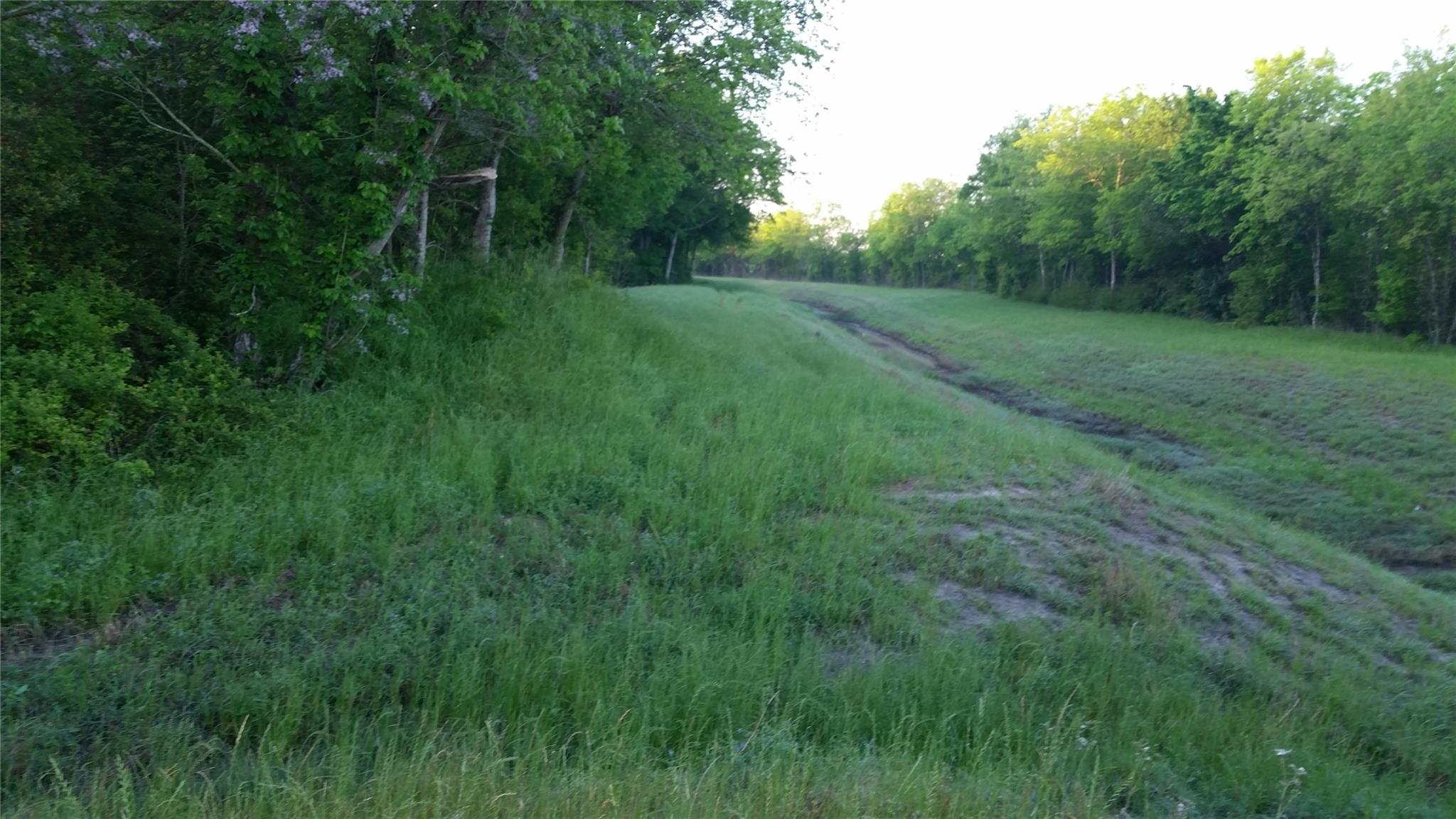 5415 LOT 1 Fenske Lane , Needville, TX, 77461 | 8851759 | Realty Texas LLC