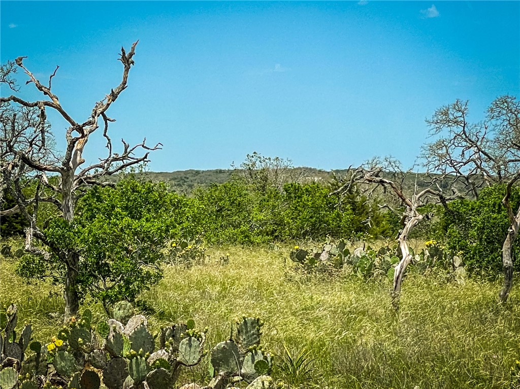 TBD 1B Allison Lane , San Marcos, TX, 78666 | 3525527 | Realty Texas LLC