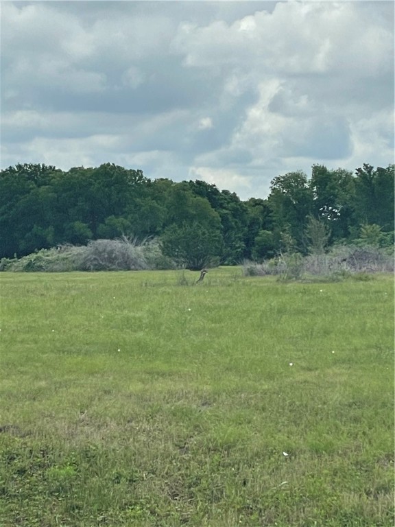 3301 N Hwy 6 Highway , Woodway, TX, 76712 | 201279 | Realty Texas LLC