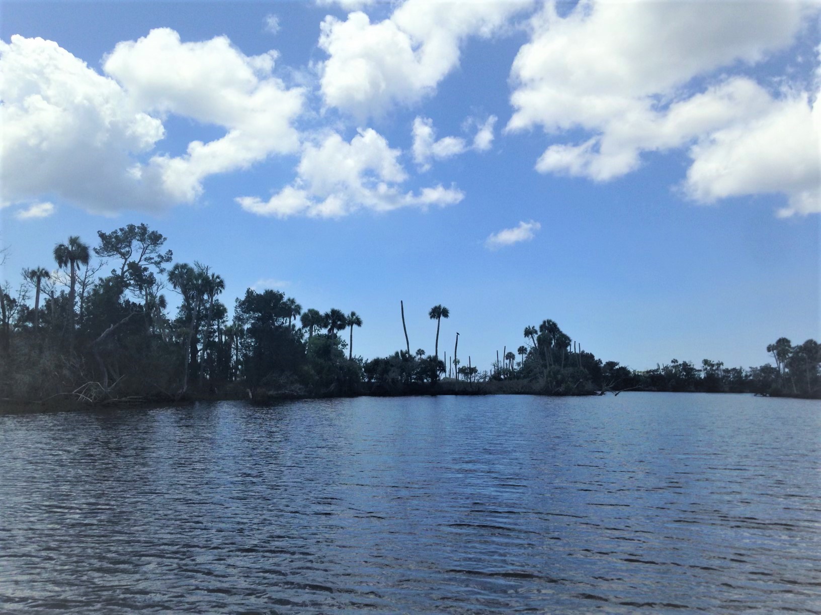 4340 RIVER ST , Other, FL, 32336 | 16453108 | Realty Texas LLC