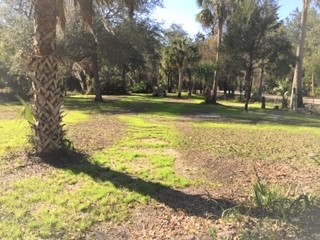 4340 RIVER ST , Other, FL, 32336 | 16453108 | Realty Texas LLC