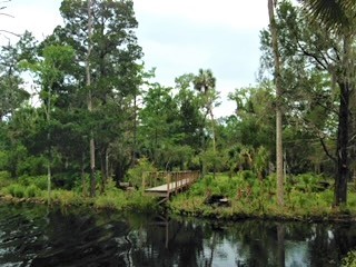 4340 RIVER ST , Other, FL, 32336 | 16453108 | Realty Texas LLC