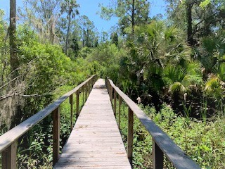 4340 RIVER ST , Other, FL, 32336 | 16453108 | Realty Texas LLC