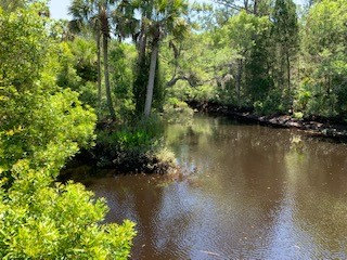 4340 RIVER ST , Other, FL, 32336 | 16453108 | Realty Texas LLC