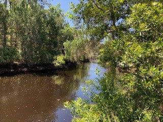 4340 RIVER ST , Other, FL, 32336 | 16453108 | Realty Texas LLC