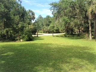 4340 RIVER ST , Other, FL, 32336 | 16453108 | Realty Texas LLC