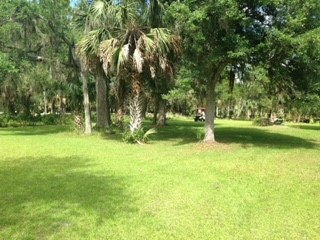 4340 RIVER ST , Other, FL, 32336 | 16453108 | Realty Texas LLC