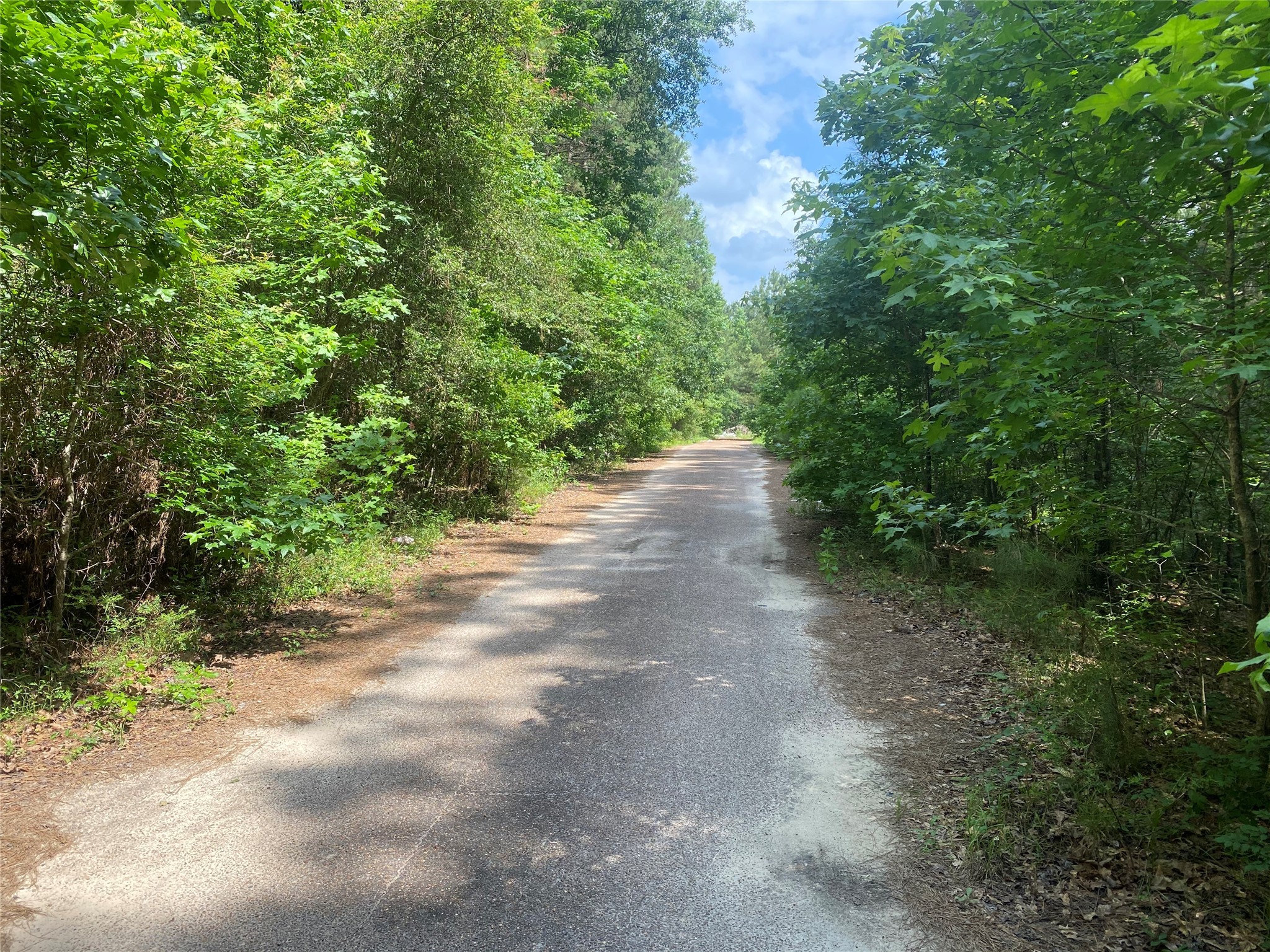 19073 Lincoln Street , New Caney, TX, 77357 | 31876019 | Realty Texas LLC