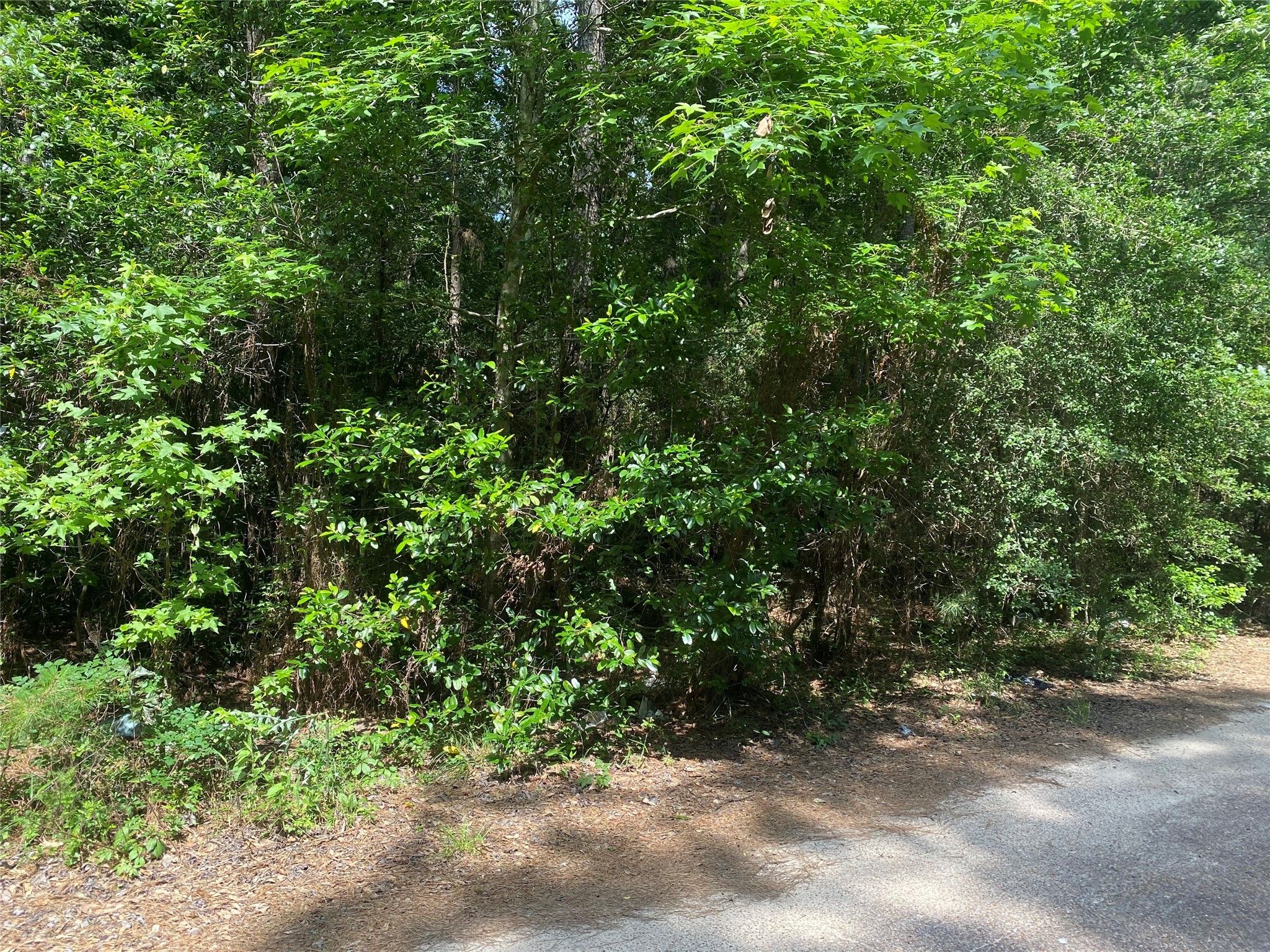 19073 Lincoln Street , New Caney, TX, 77357 | 31876019 | Realty Texas LLC