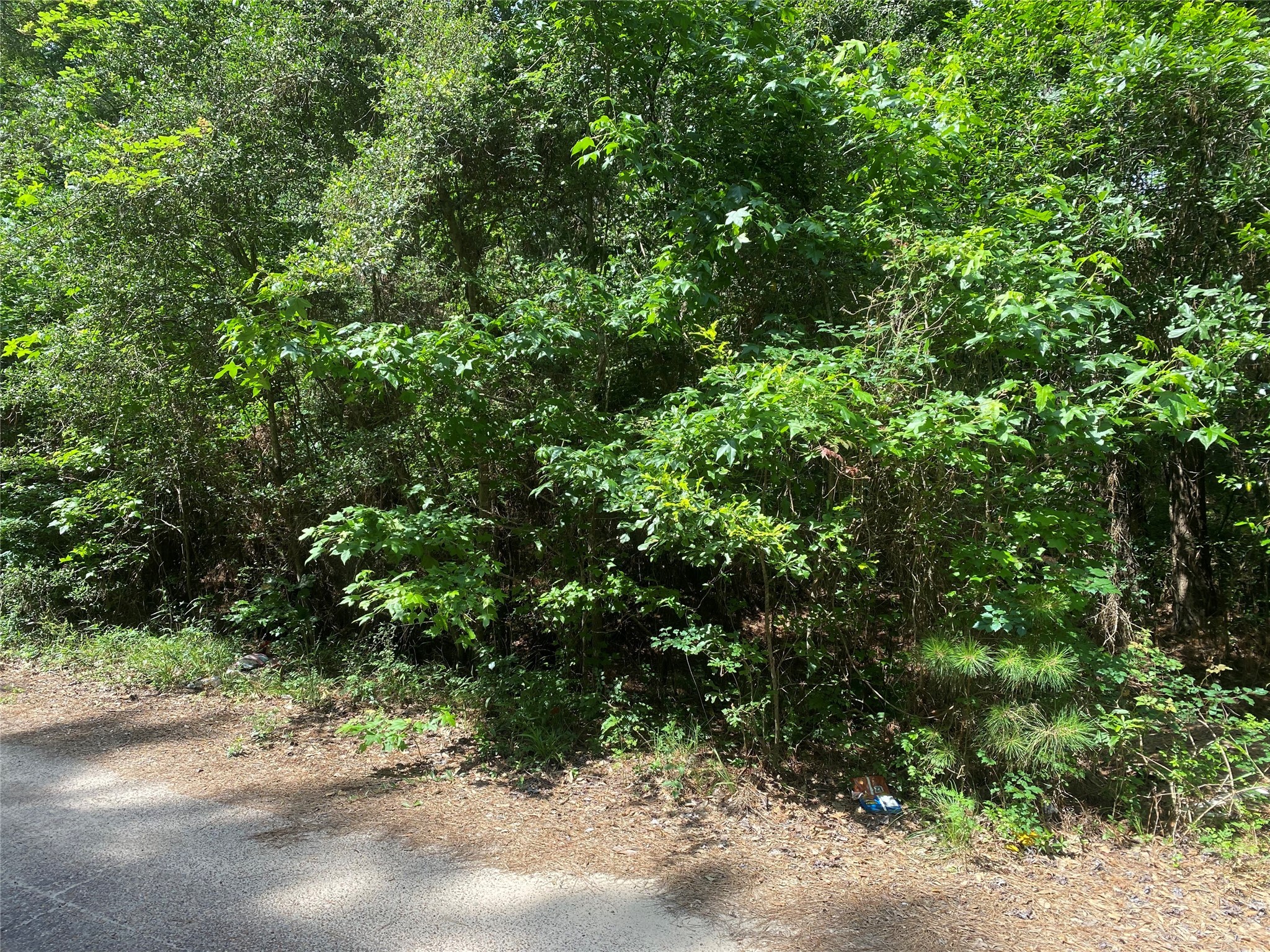 19073 Lincoln Street , New Caney, TX, 77357 | 31876019 | Realty Texas LLC