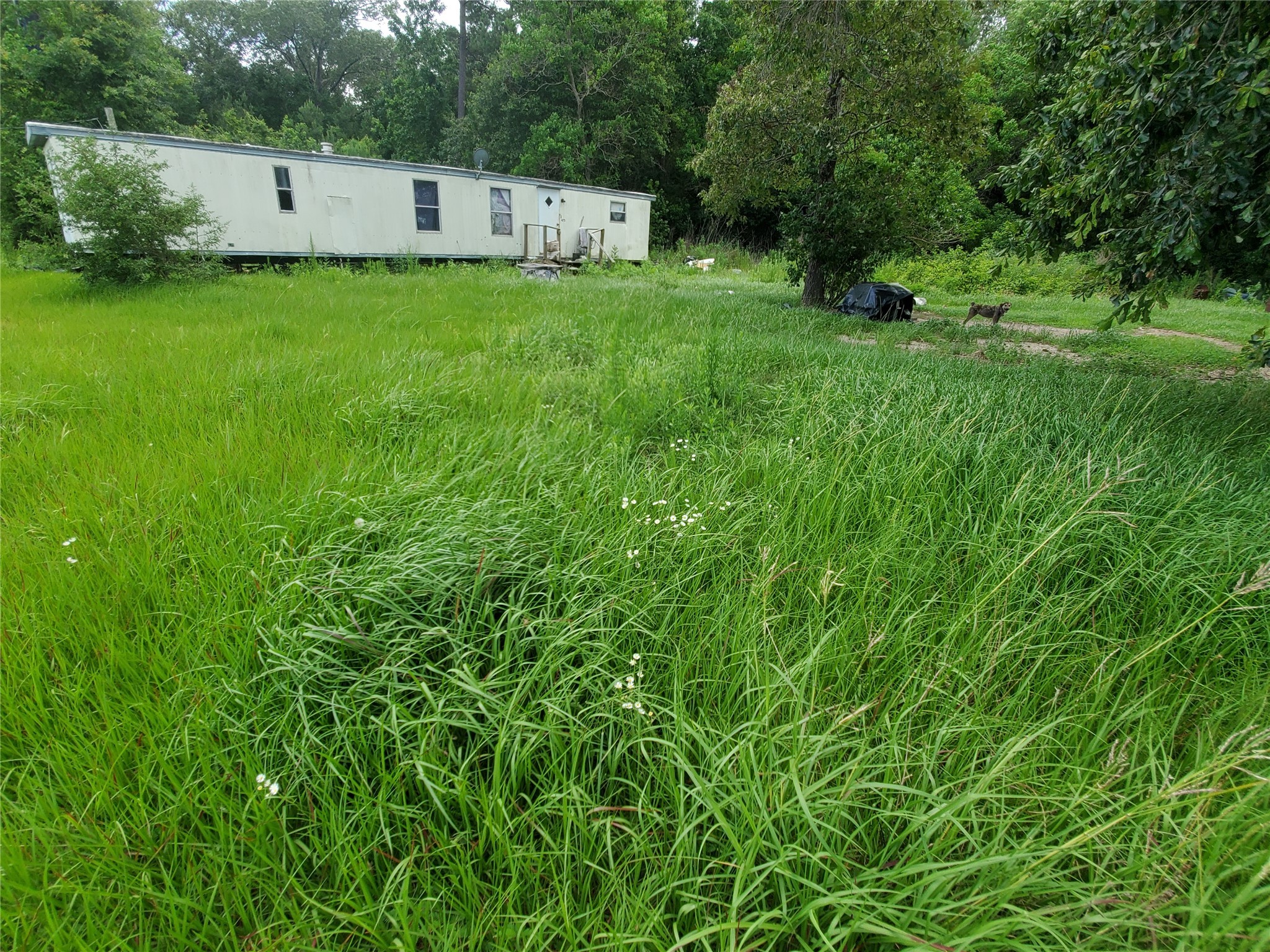 475 W US 59 S Bypass , Cleveland, TX, 77328 | 3127337 | Realty Texas LLC