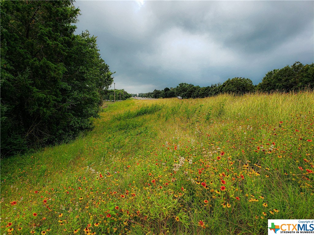 Tract 6 Highway 36 N , Brenham, TX, 77833 | 442141 | Realty Texas LLC