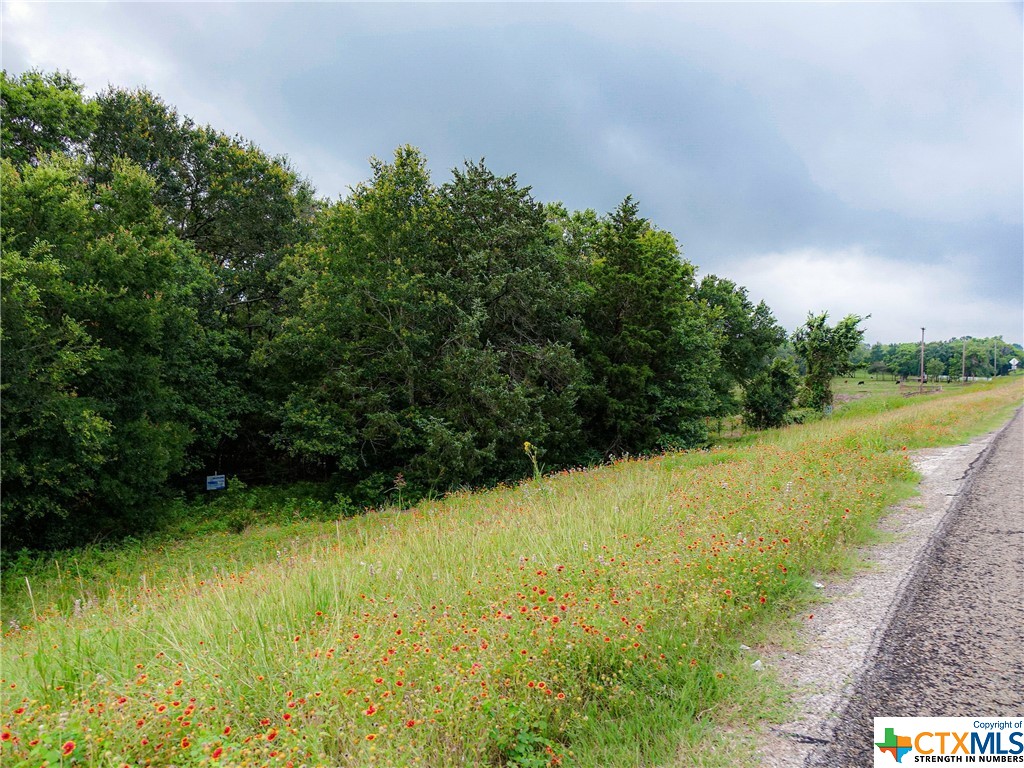 Tract 6 Highway 36 N , Brenham, TX, 77833 | 442141 | Realty Texas LLC