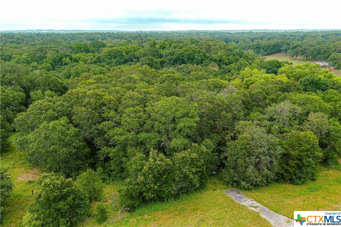 Tract 6 Highway 36 N , Brenham, TX, 77833 | 442141 | Realty Texas LLC