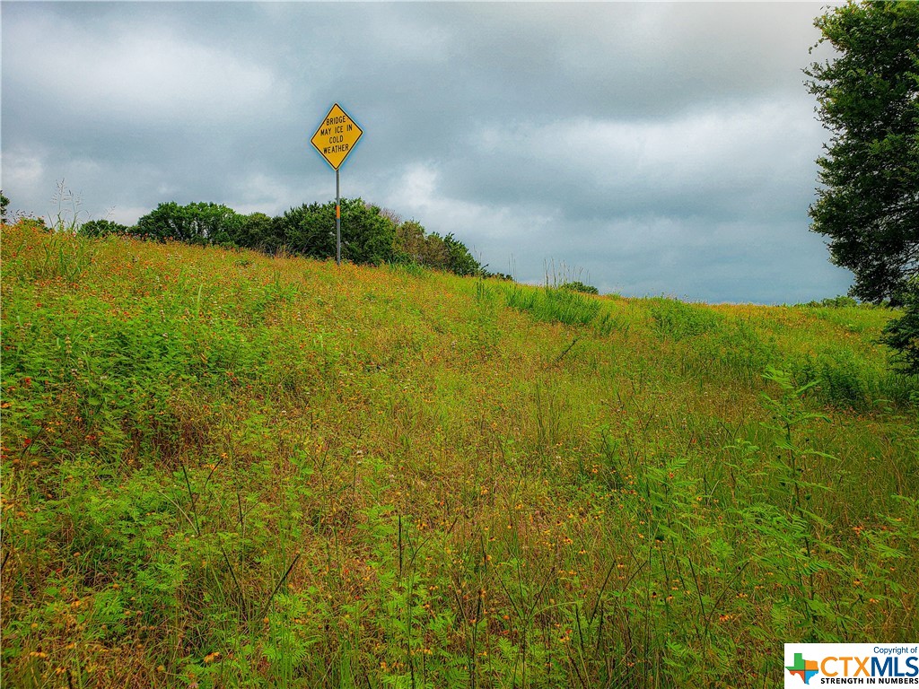 Tract 6 Highway 36 N , Brenham, TX, 77833 | 442141 | Realty Texas LLC