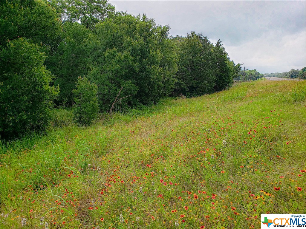 Tract 6 Highway 36 N , Brenham, TX, 77833 | 442141 | Realty Texas LLC