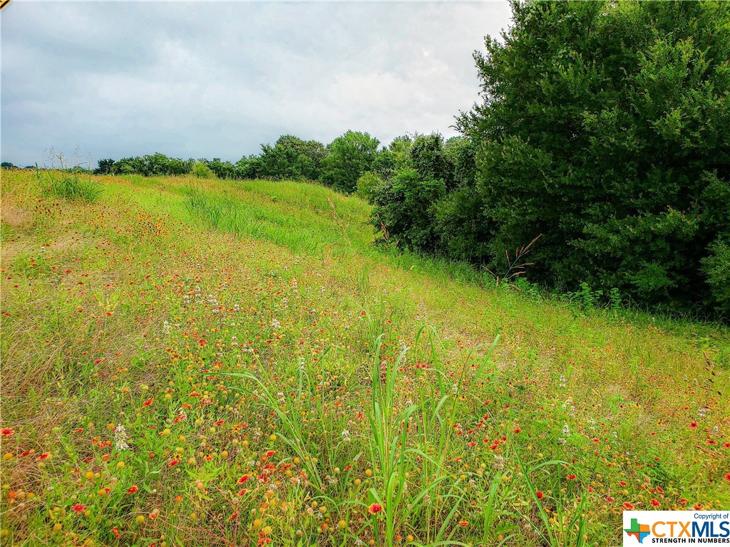 Tract 6 Highway 36 N , Brenham, TX, 77833 | 442141 | Realty Texas LLC