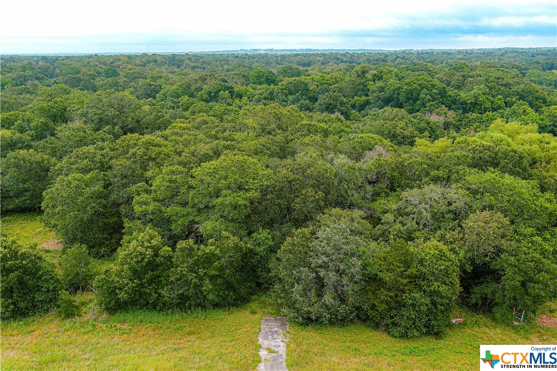 Tract 6 Highway 36 N , Brenham, TX, 77833 | 442141 | Realty Texas LLC