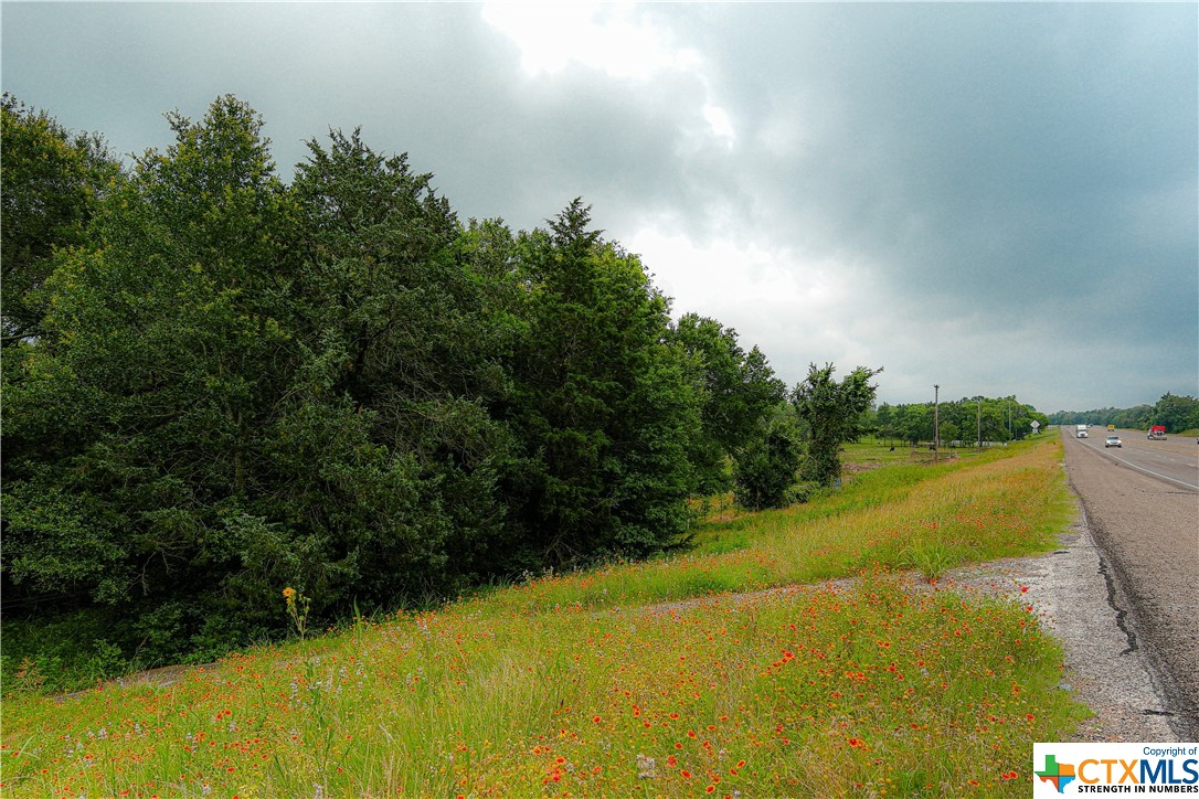 Tract 6 Highway 36 N , Brenham, TX, 77833 | 442141 | Realty Texas LLC