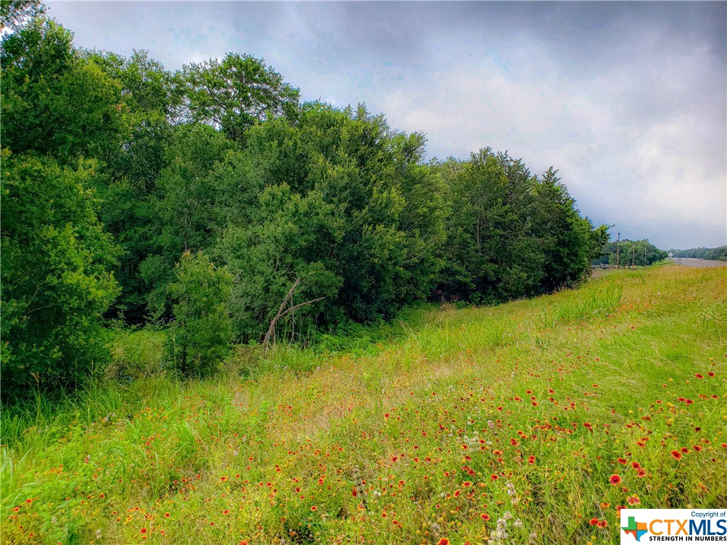 Tract 6 Highway 36 N , Brenham, TX, 77833 | 442141 | Realty Texas LLC