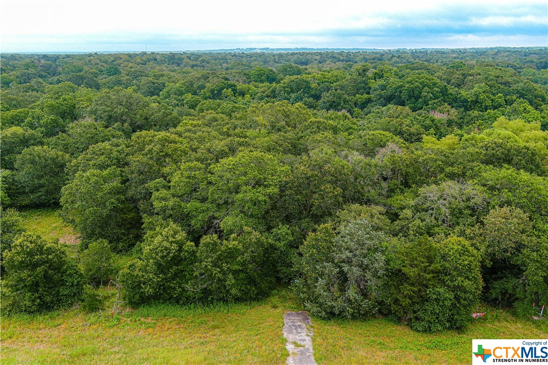 Tract 6 Highway 36 N , Brenham, TX, 77833 | 442141 | Realty Texas LLC