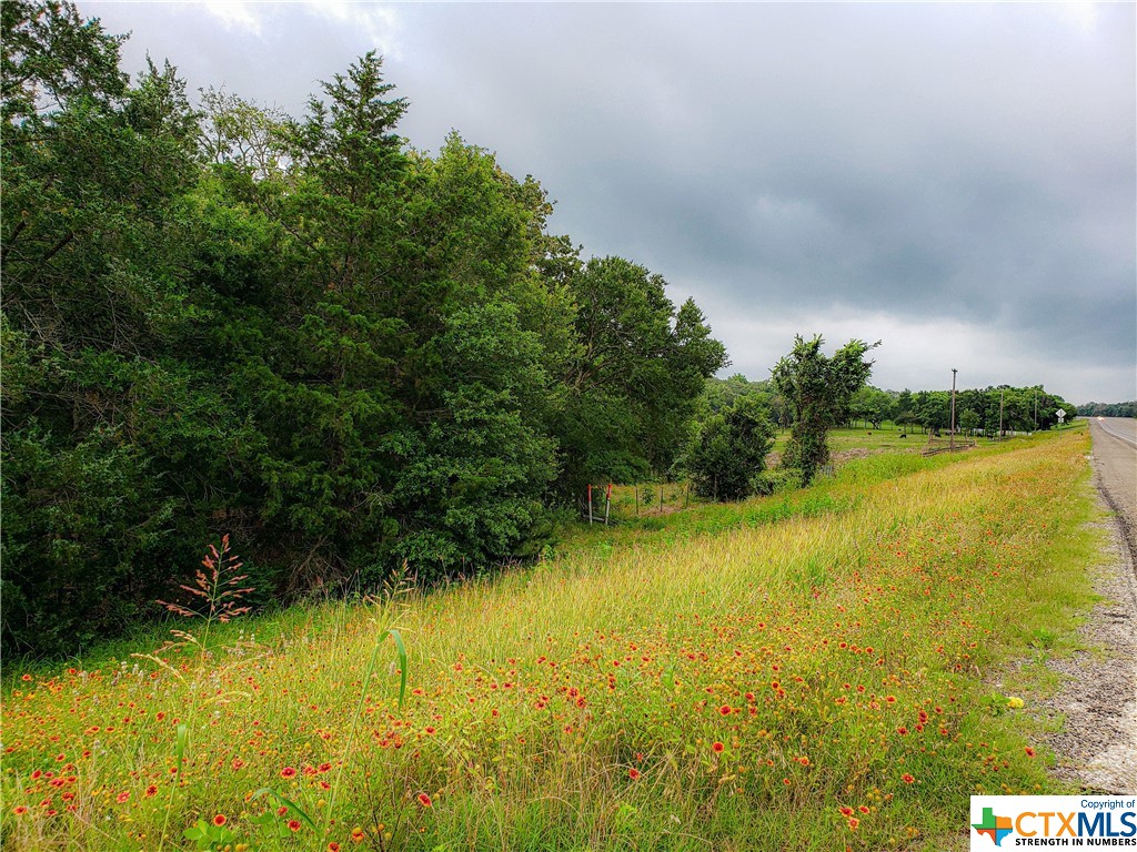 Tract 6 Highway 36 N , Brenham, TX, 77833 | 442141 | Realty Texas LLC
