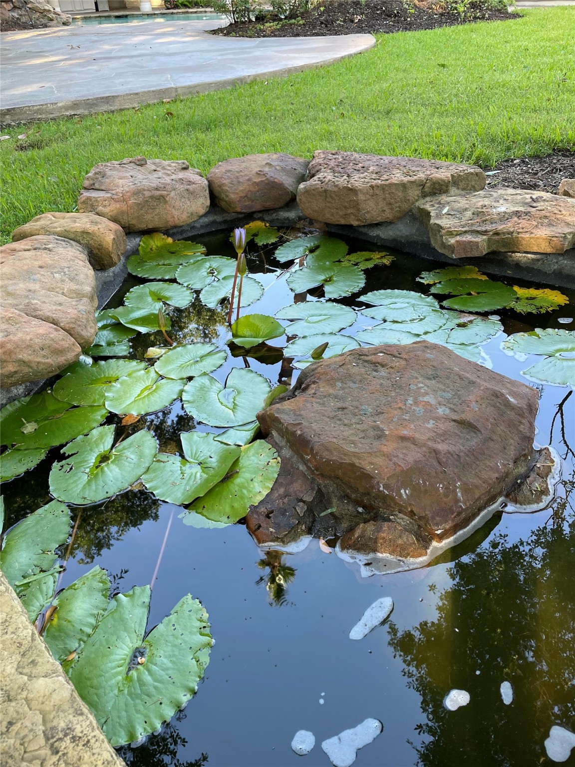 13402 Pinnacle Place , Houston, TX, 77069 | 32374298 | Realty Texas LLC