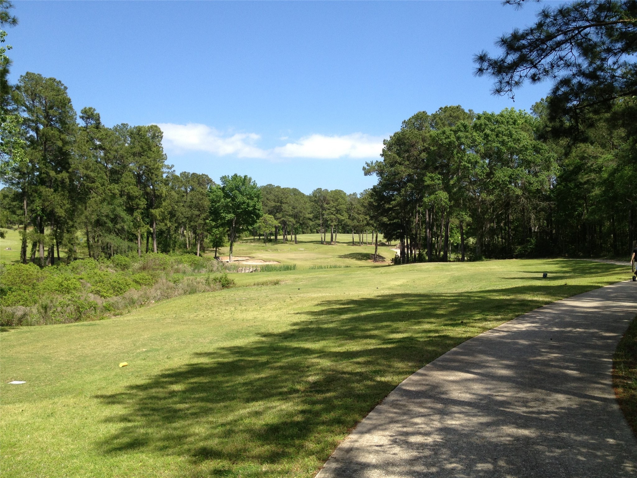 1 Waterwood , Huntsville, TX, 77320 | 84493956 | Realty Texas LLC