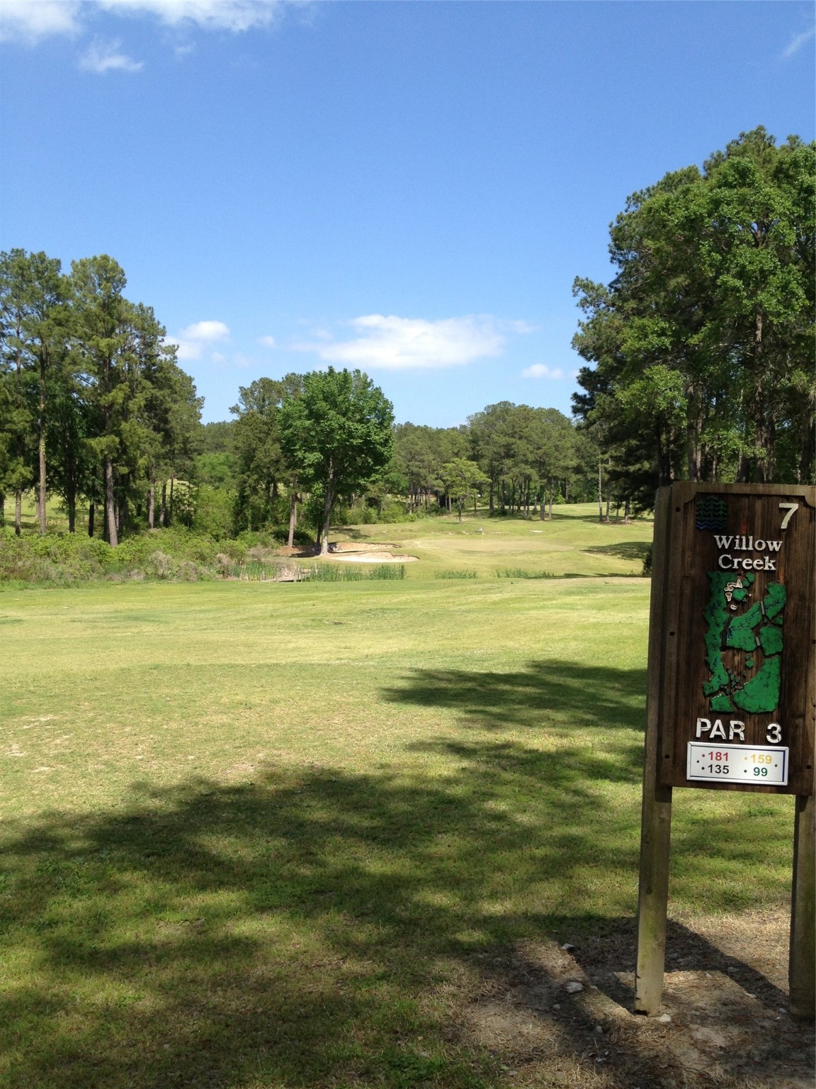 1 Waterwood , Huntsville, TX, 77320 | 84493956 | Realty Texas LLC