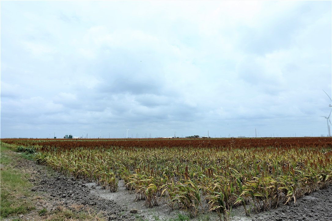 0000 Hwy 181 CR 1612 CR 3567 , Taft, TX, 78390 | 384981 | Realty Texas LLC