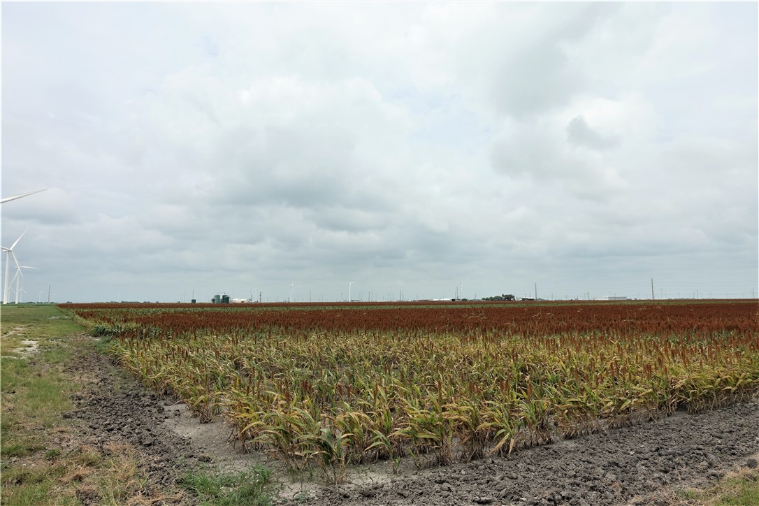 0000 Hwy 181 CR 1612 CR 3567 , Taft, TX, 78390 | 384981 | Realty Texas LLC