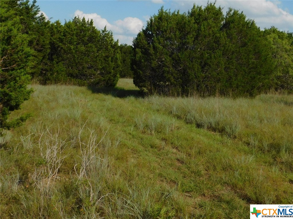 845 Kellogg Road , Copperas Cove, TX, 76522 | 443572 | Realty Texas LLC