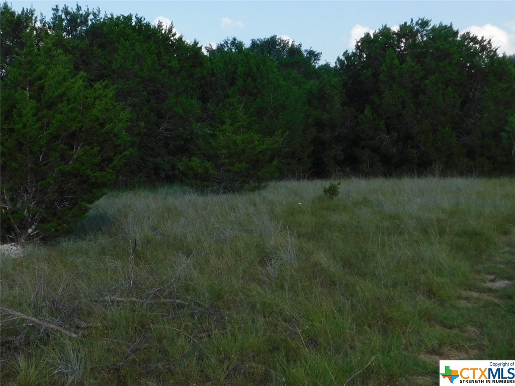 845 Kellogg Road , Copperas Cove, TX, 76522 | 443572 | Realty Texas LLC