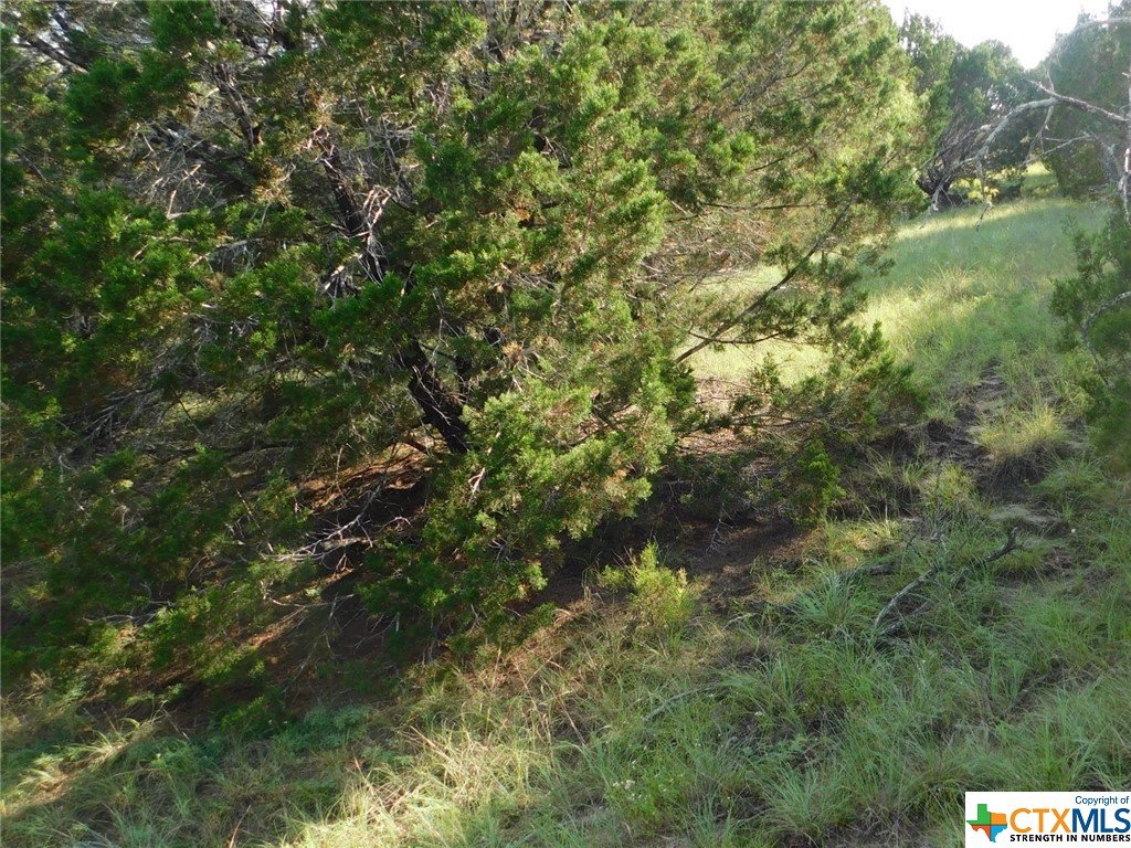 845 Kellogg Road , Copperas Cove, TX, 76522 | 443572 | Realty Texas LLC