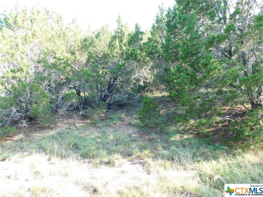 845 Kellogg Road , Copperas Cove, TX, 76522 | 443572 | Realty Texas LLC