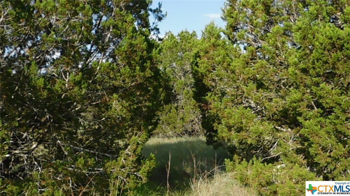 845 Kellogg Road , Copperas Cove, TX, 76522 | 443572 | Realty Texas LLC