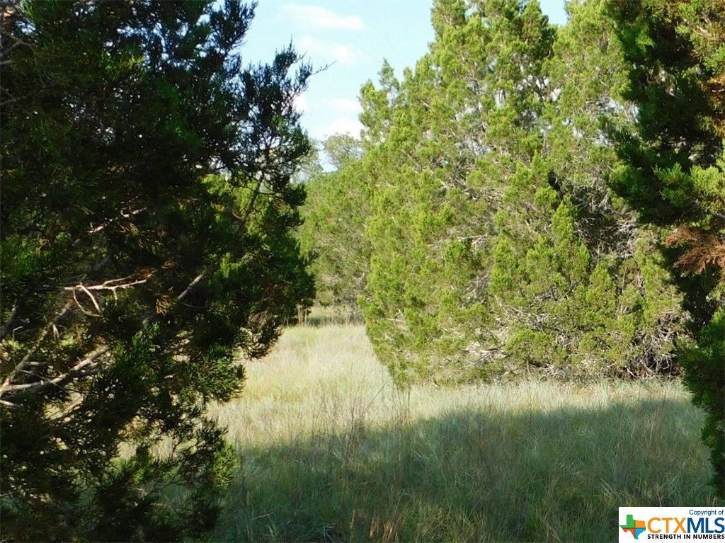 845 Kellogg Road , Copperas Cove, TX, 76522 | 443572 | Realty Texas LLC