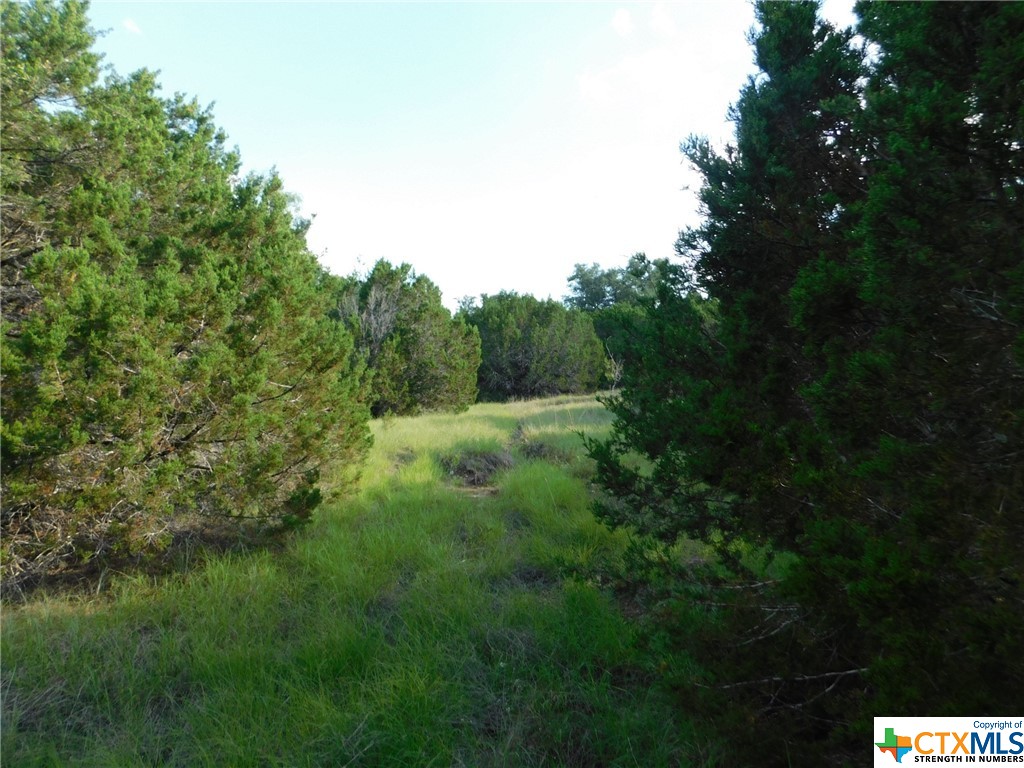 845 Kellogg Road , Copperas Cove, TX, 76522 | 443572 | Realty Texas LLC