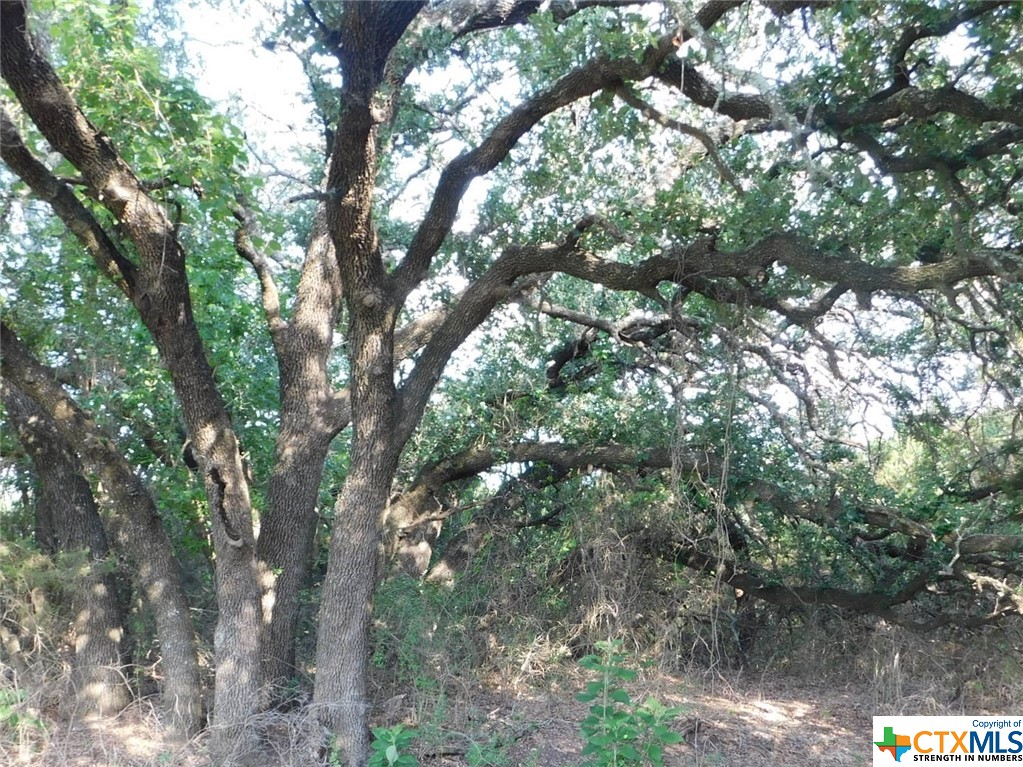 845 Kellogg Road , Copperas Cove, TX, 76522 | 443572 | Realty Texas LLC