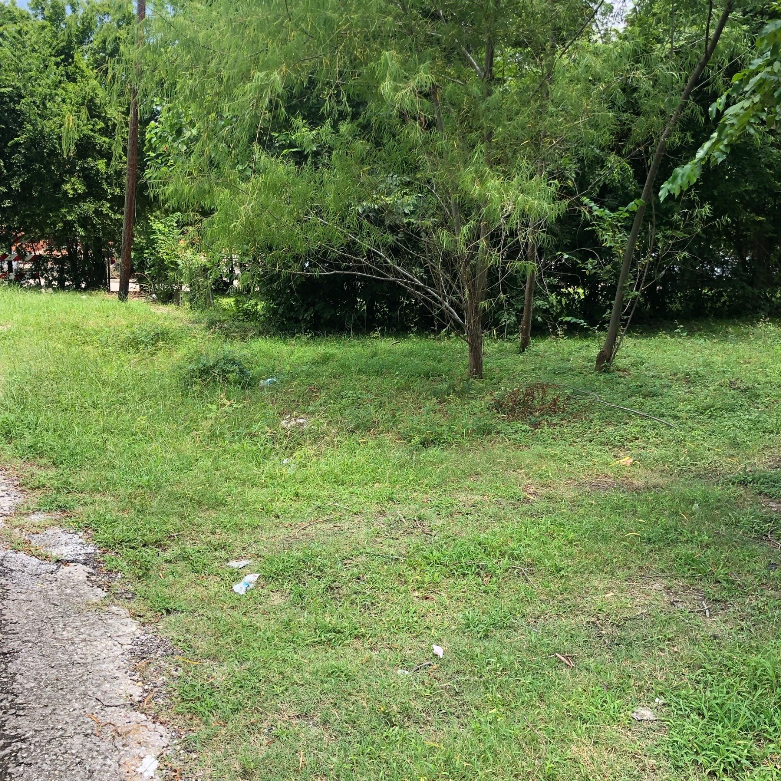 3714 Farmer Street , Houston, TX, 77020 | 73331309 | Realty Texas LLC