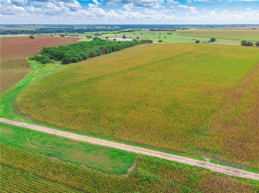 703 County Road 368 , Taylor, TX, 76574 | 2648776 | Realty Texas LLC