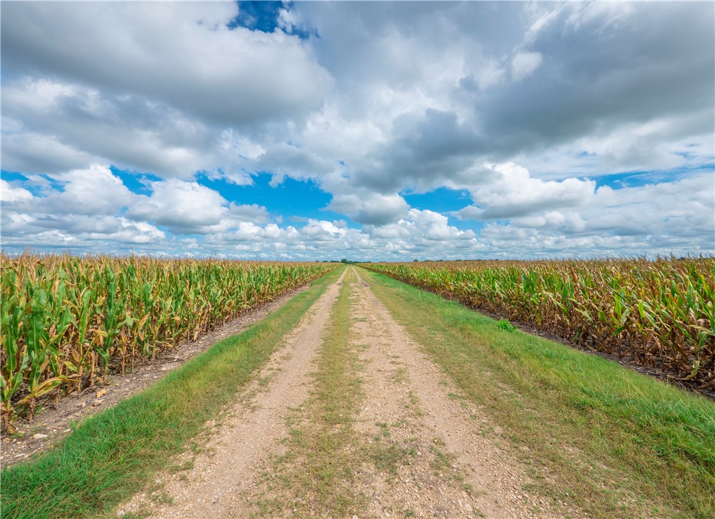 703 County Road 368 , Taylor, TX, 76574 | 2648776 | Realty Texas LLC