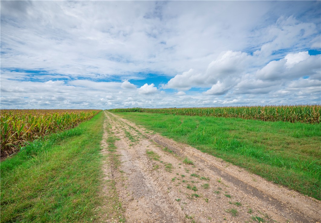 703 County Road 368 , Taylor, TX, 76574 | 2648776 | Realty Texas LLC