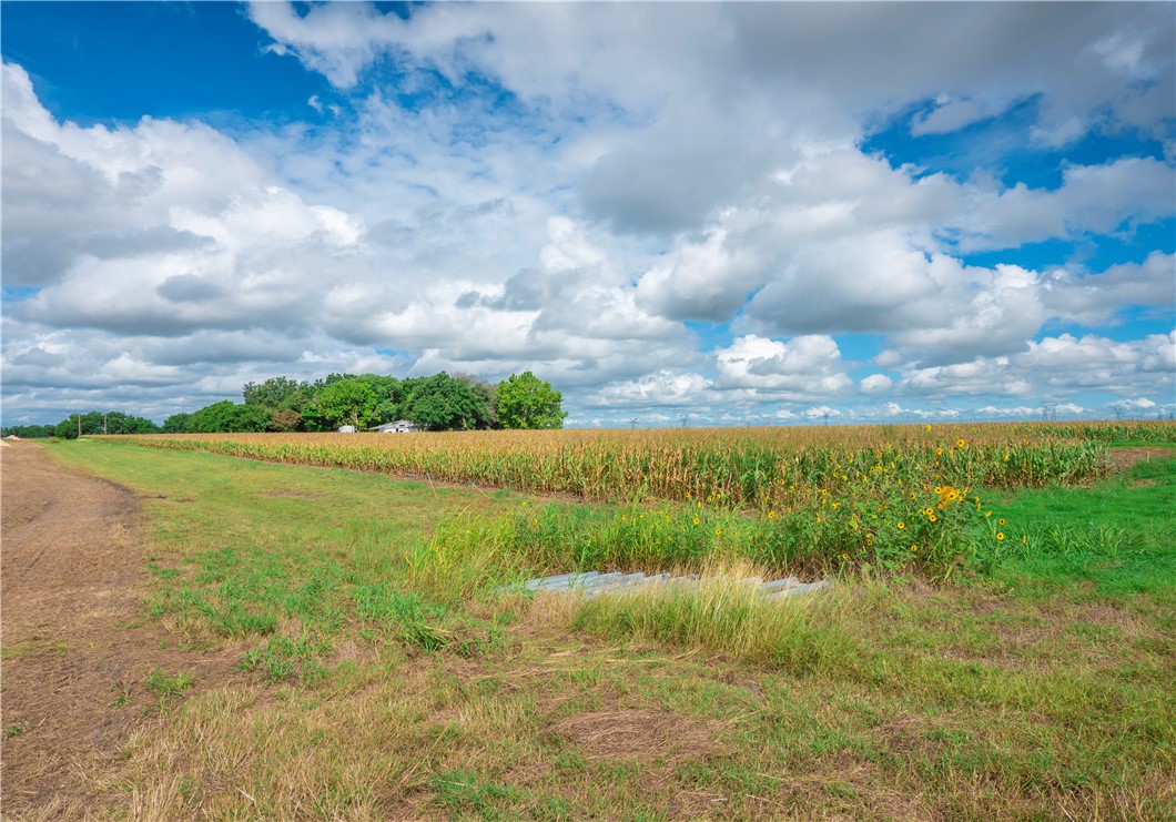 703 County Road 368 , Taylor, TX, 76574 | 2648776 | Realty Texas LLC