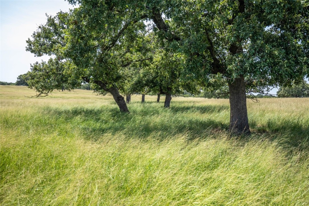 TBD Granite Lake Trail , Fredericksburg, TX, 78624 | 5997538 | Realty Texas LLC