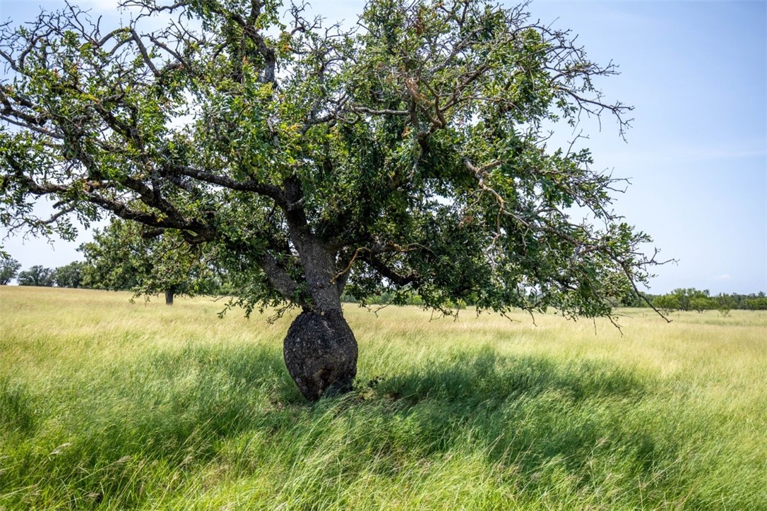 TBD Granite Lake Trail , Fredericksburg, TX, 78624 | 5997538 | Realty Texas LLC