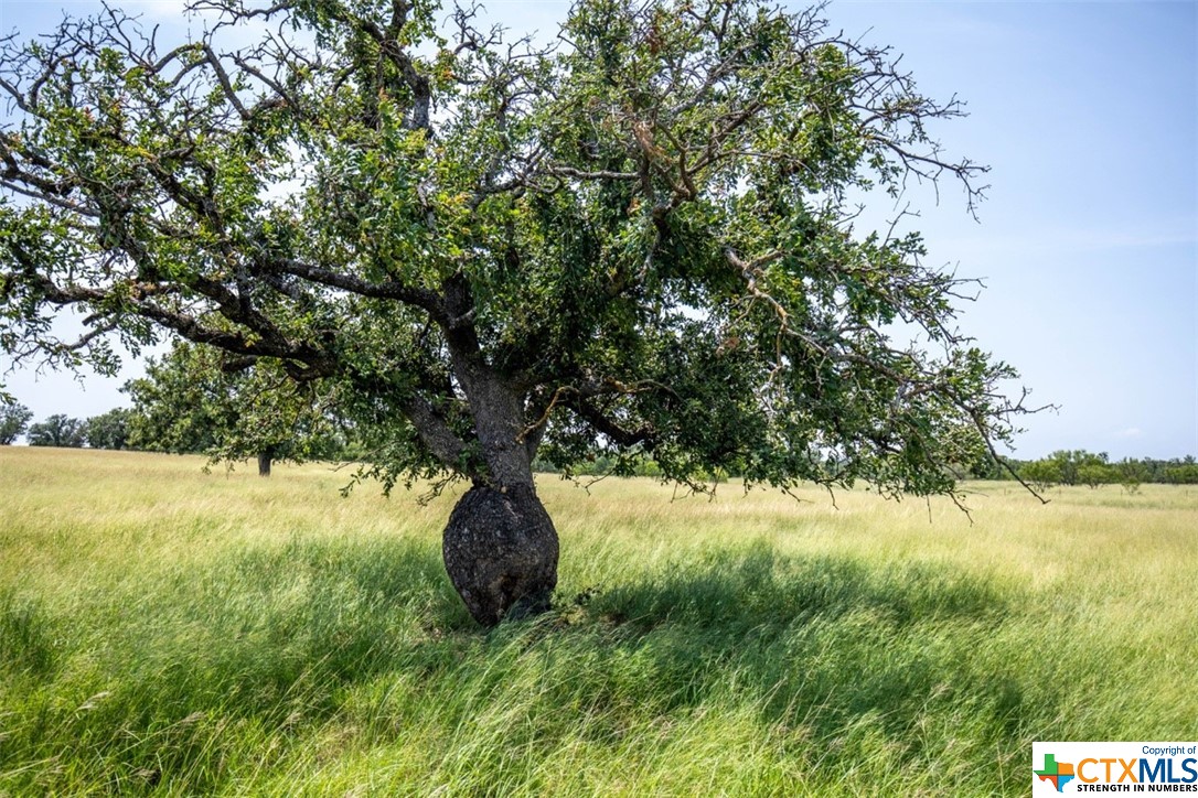TBD Granite Lake Trail , Llano, TX, 78624 | 445597 | Realty Texas LLC