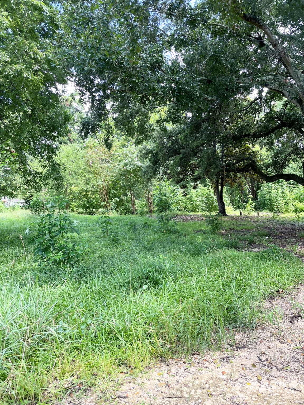 14602 6th Street , Santa Fe, TX, 77517 | 84924099 | Realty Texas LLC