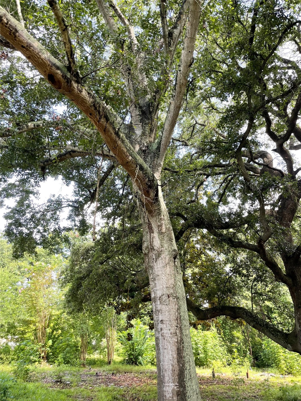 14602 6th Street , Santa Fe, TX, 77517 | 84924099 | Realty Texas LLC